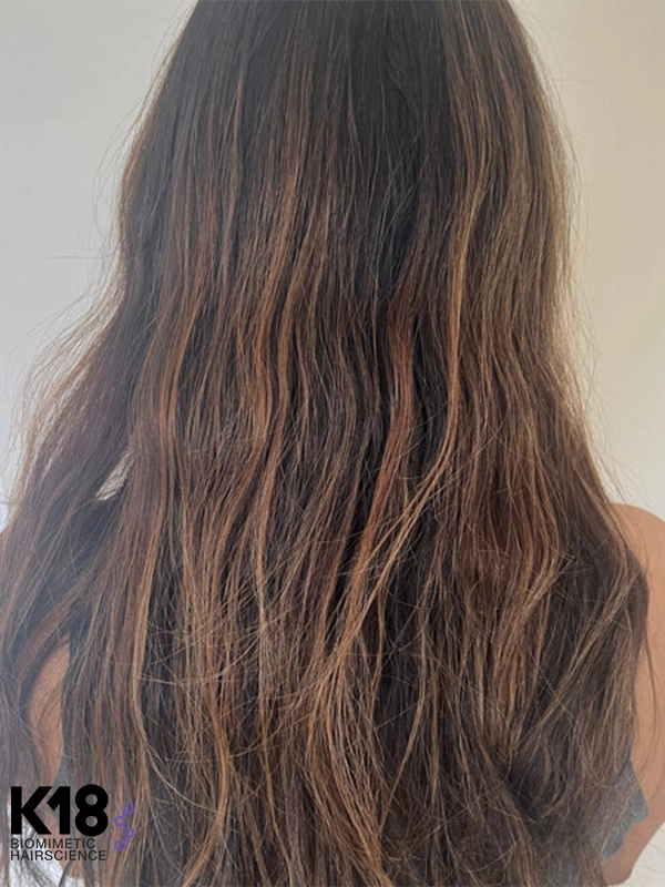 Before K18 Keratin Treatment Example | Courtesey of K18